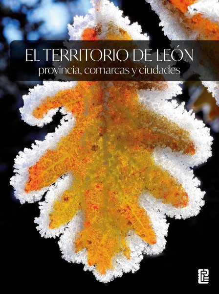 Publicado el libro 'El territorio de León: provincia, comarcas y ciudades'